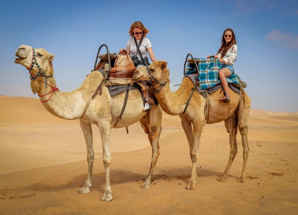 camel ride iMorning Desert Safari Dubai